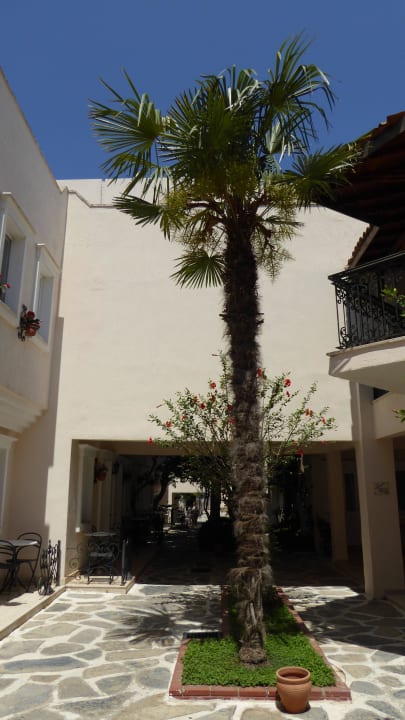 Teren hotelu Cactus Fleur Beach