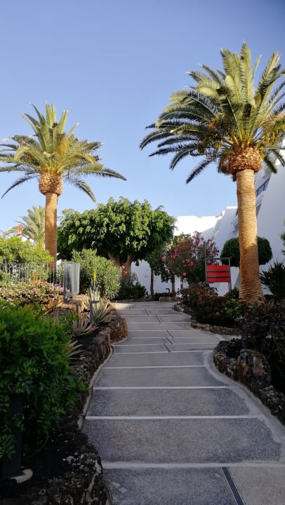 Gartenanlage Sol Fuerteventura Jandia - All Suites