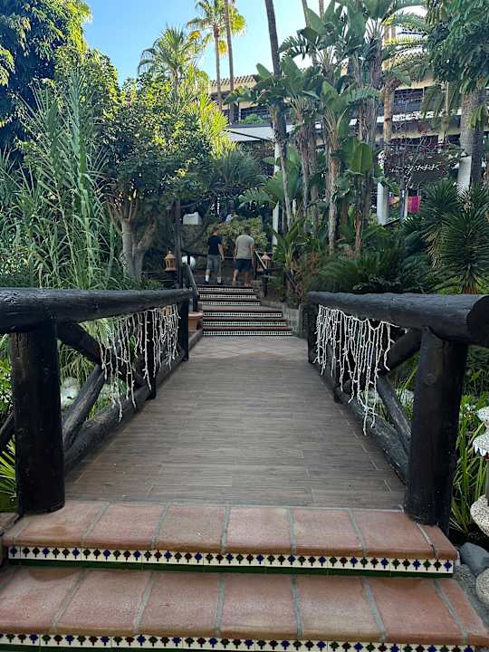 Gartenanlage Hotel Parque Tropical