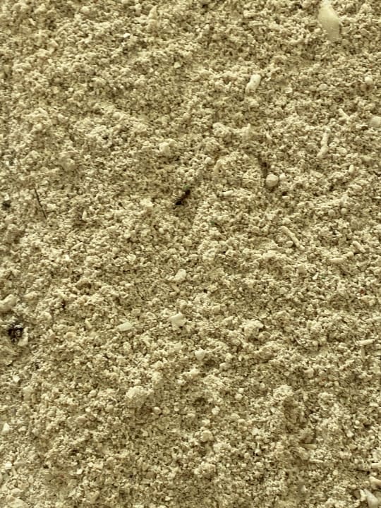 Zimmer TUI BLUE Olhuveli Romance