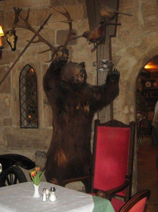 Innenansicht Hotel Burg Colmberg