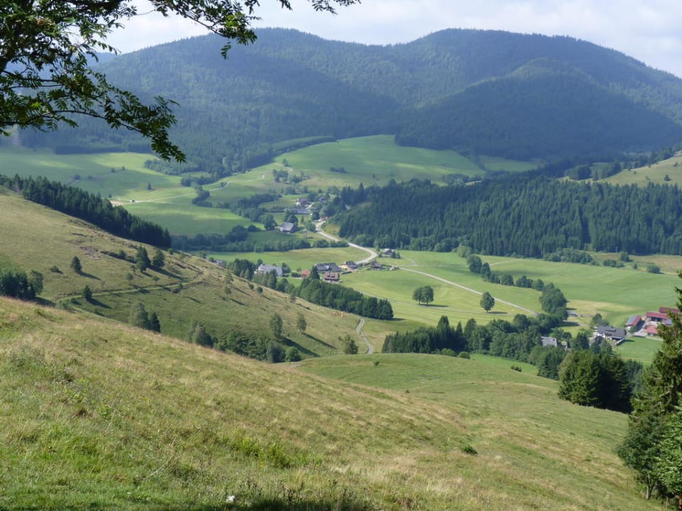Blick ins Bernauer Tal Hotel Landgasthof Bergblick