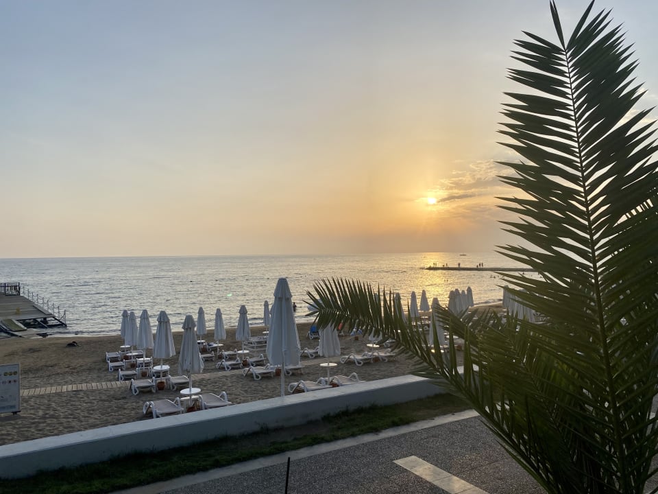 Strand PALOMA Perissia