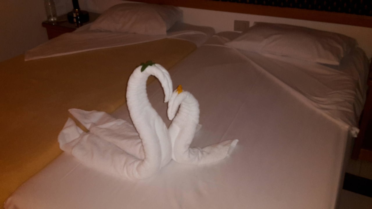 Immer Lieb gemeind Desert Rose