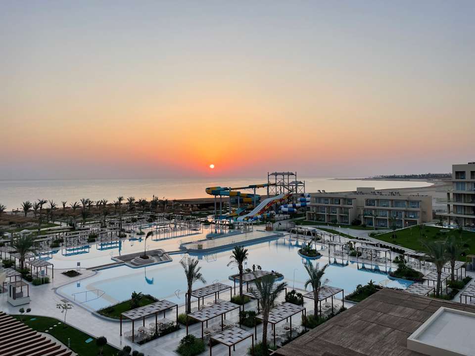 Zimmer JAZ Elite Asteria