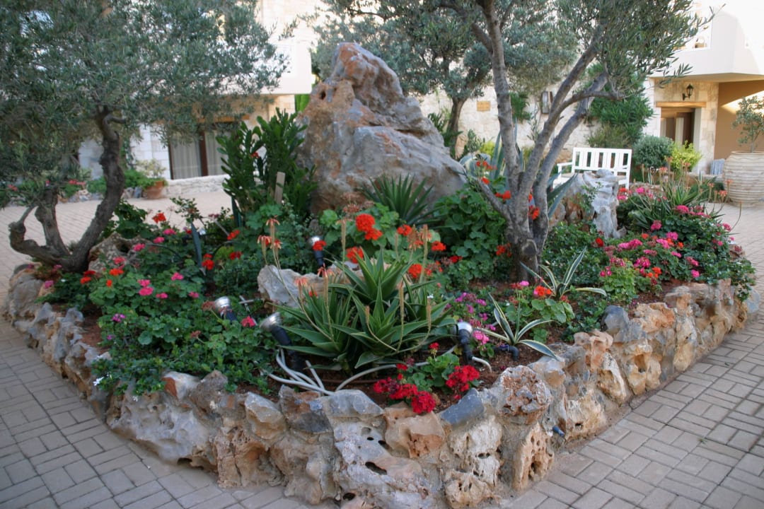 Blumenbeet Cactus Royal