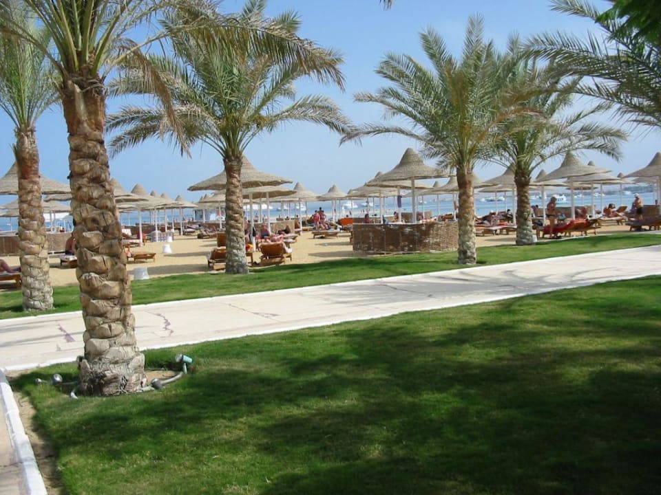 Garten Siva Grand Beach