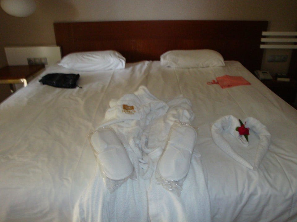 Nach Zimmersevice Kamelya Aishen Club