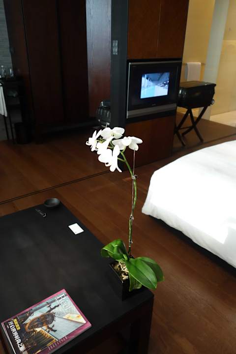 Doppelzimmer im 20. Stock Hotel & Spa The Puli