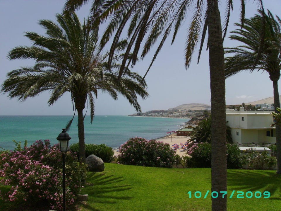 Gartenanlage vom Hotel SBH Costa Calma Beach Resort