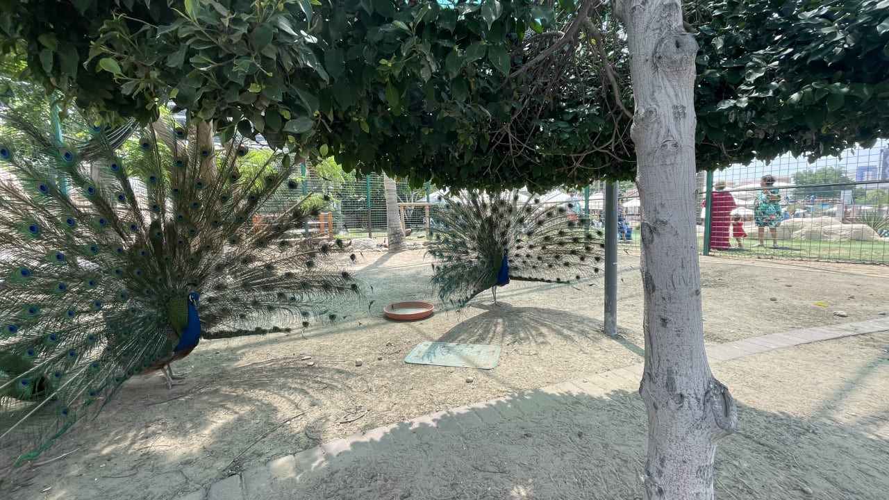 Sport & Freizeit Grand Hyatt Dubai