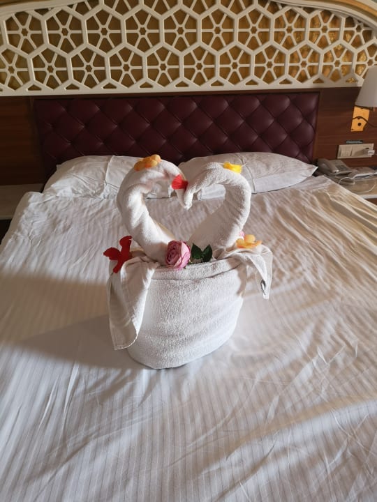 Zimmer Royal Taj Mahal Hotel