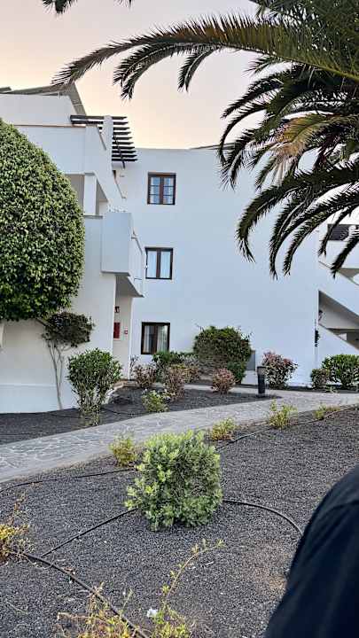 Gartenanlage allsun App.-Hotel Albatros