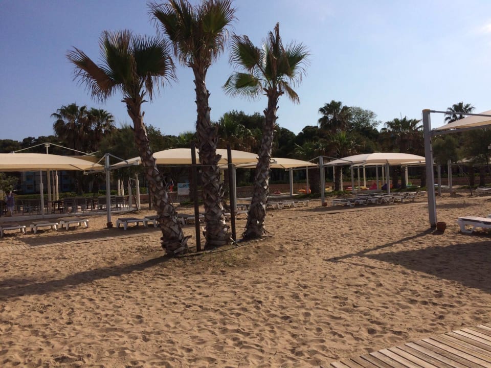 Strand ROBINSON PAMFILYA