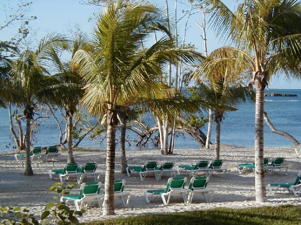 Strand am RIU Negril Hotel Riu Negril