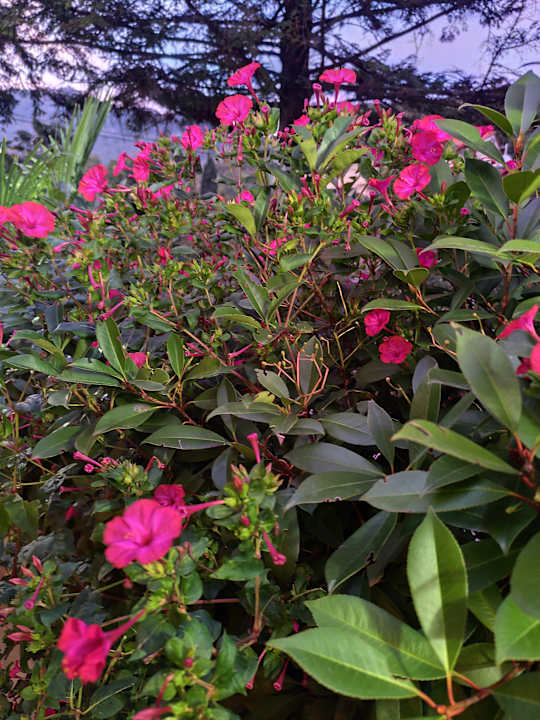 Sonstiges Aparthotel Gimi