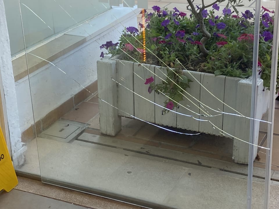 Lobby Alcudia Garden Aparthotel