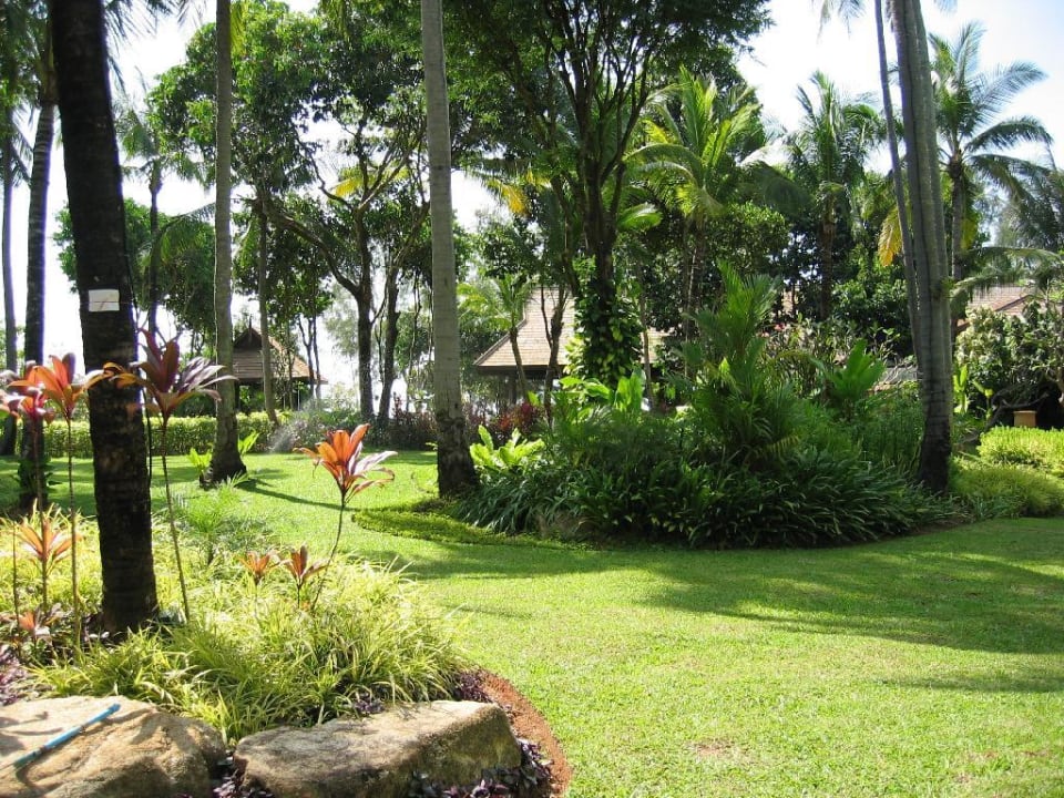 Gartenblick aus dem Zimmer JW Marriott Phuket Resort & Spa
