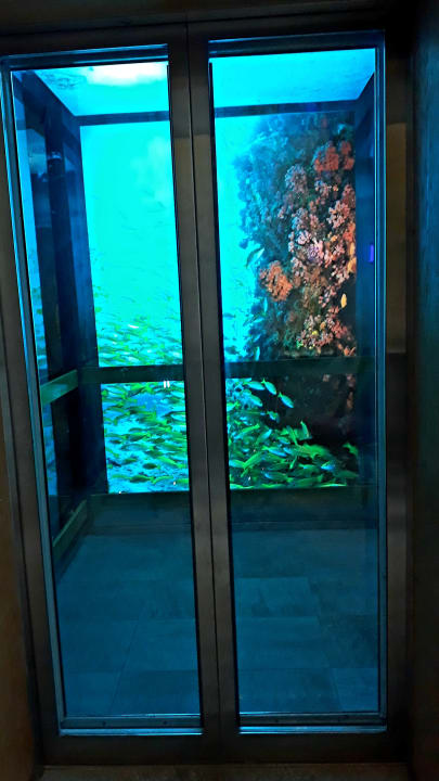 Sonstiges Eden Bleu Hotel