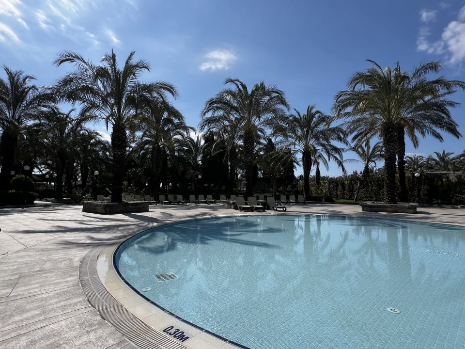 Pool Royal Wings Hotel