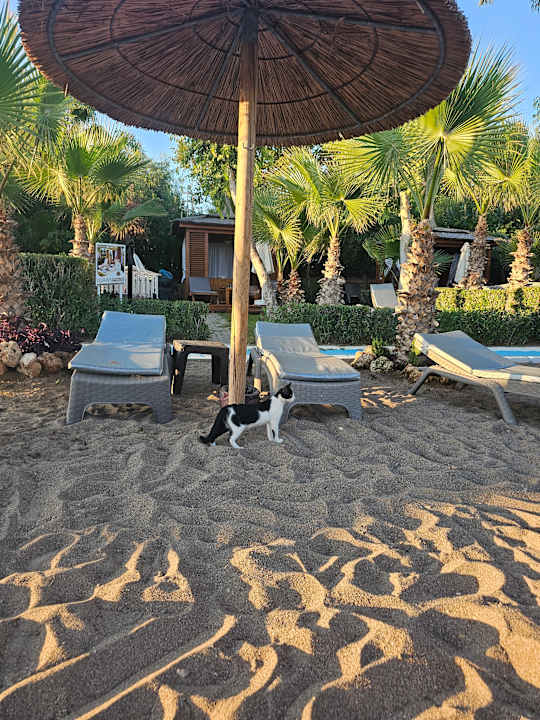 Strand Hotel Delphin Imperial