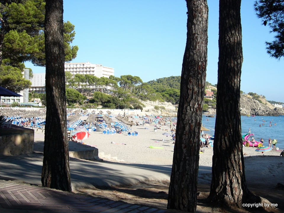 Sandstrand allsun Hotel Bella Paguera