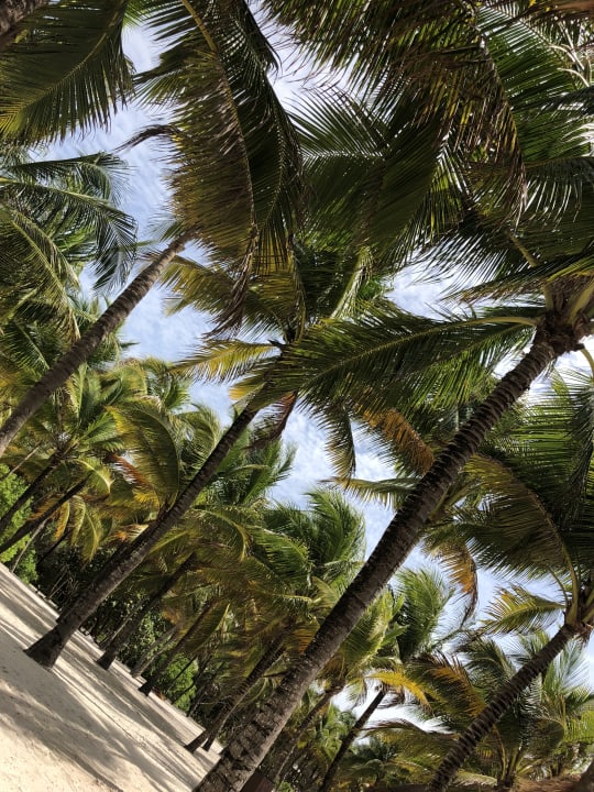 Strand Grand Palladium Kantenah Resort & Spa