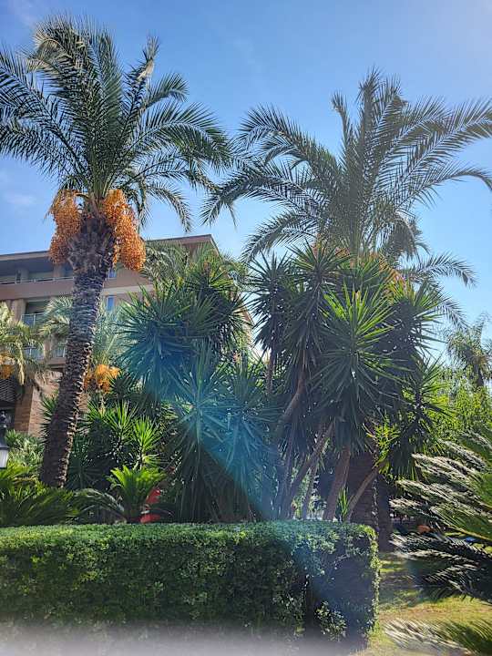 Gartenanlage Sunis Kumköy Beach Resort Hotel & Spa