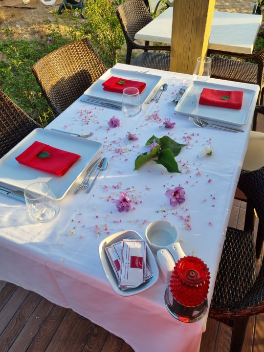 Gastro Sentido Trendy Verbena Beach