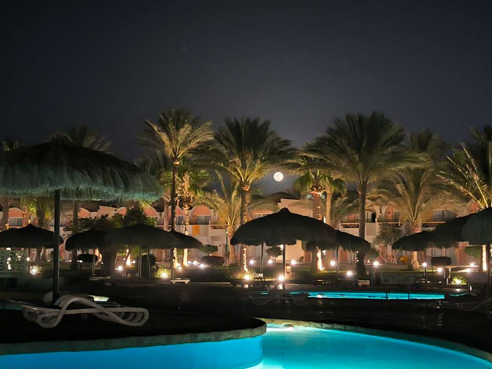 Gartenanlage Three Corners Sea Beach Resort