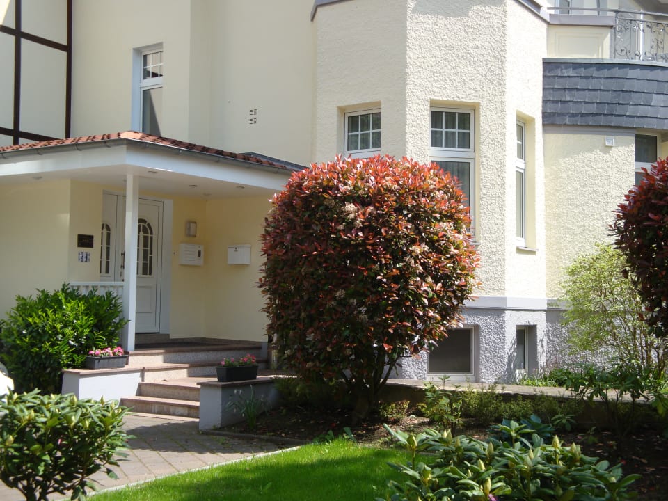 Gartenanlage Hotel Bellevue