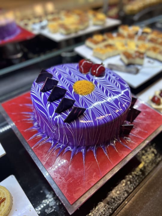 Gastro Well Palace Side