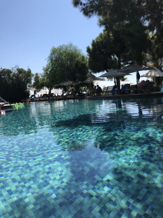 Pool Voyage Sorgun