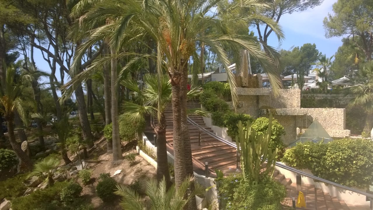 Gartenanlage allsun Hotel Bella Paguera