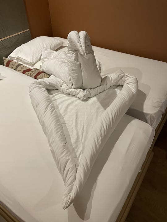 Zimmer Arycanda Kirman Premium