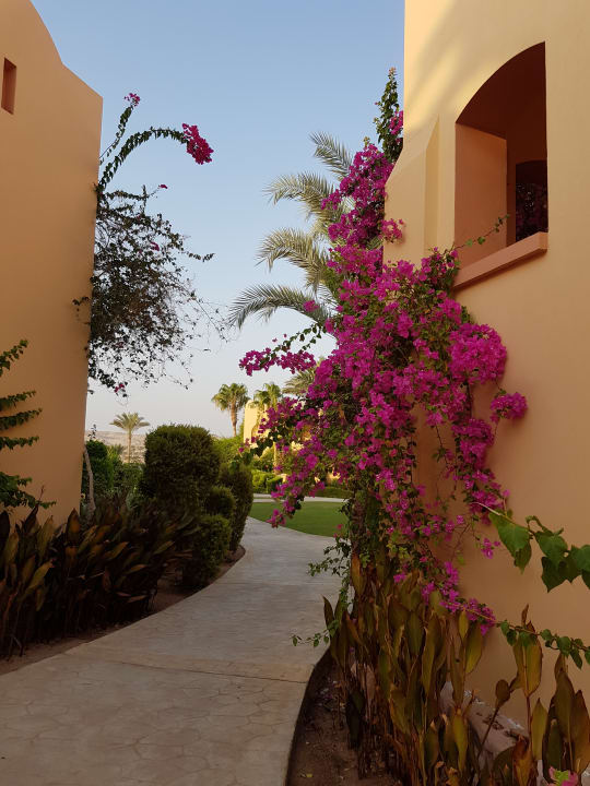 Sonstiges Steigenberger Coraya Beach - Adults only