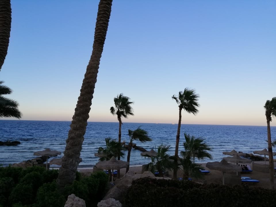 Strand Pickalbatros Citadel Resort