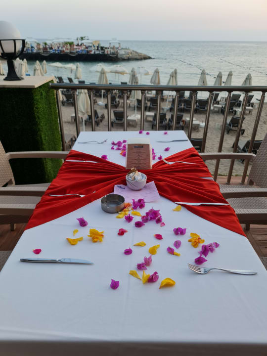 Gastro Granada Luxury Okurcalar