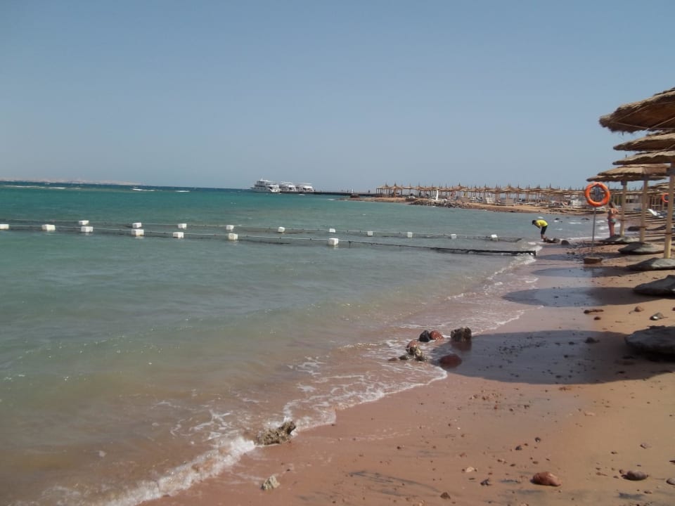 Steiniger Strand Pickalbatros Jungle Aqua Park Resort - Neverland Hurghada