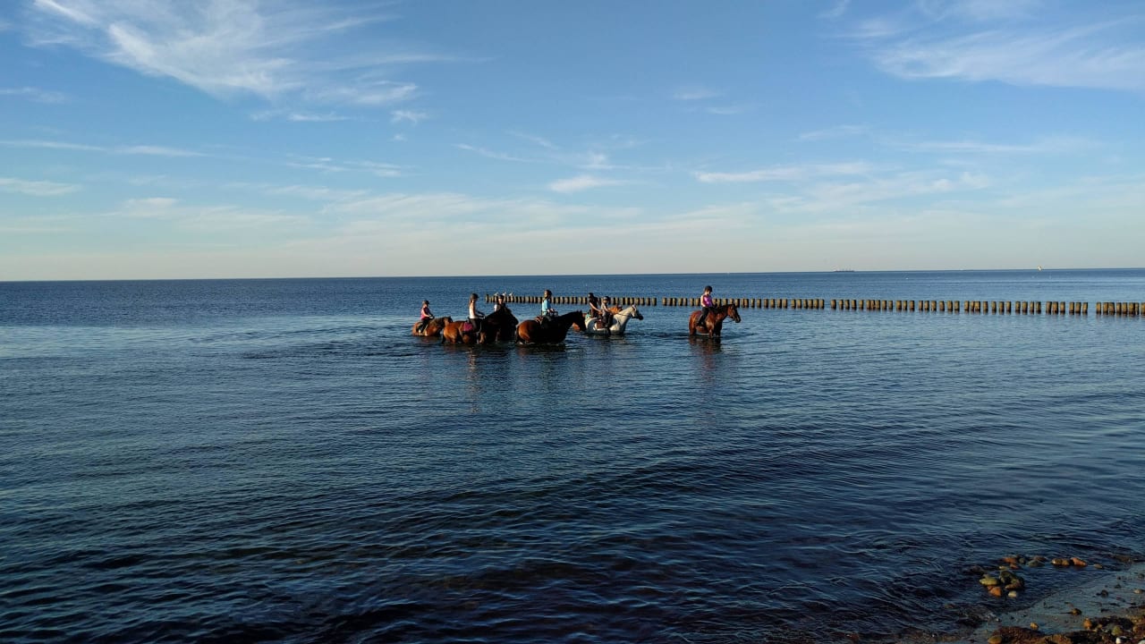 Ausritt Pension Reitcamp Börgerende