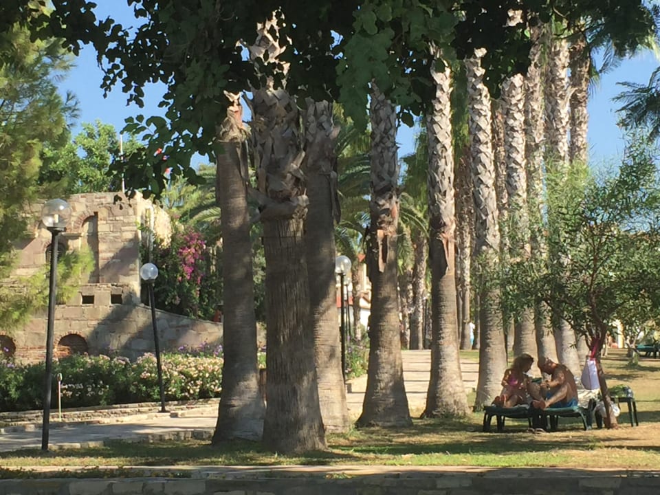 Gartenanlage Arum Barut Collection