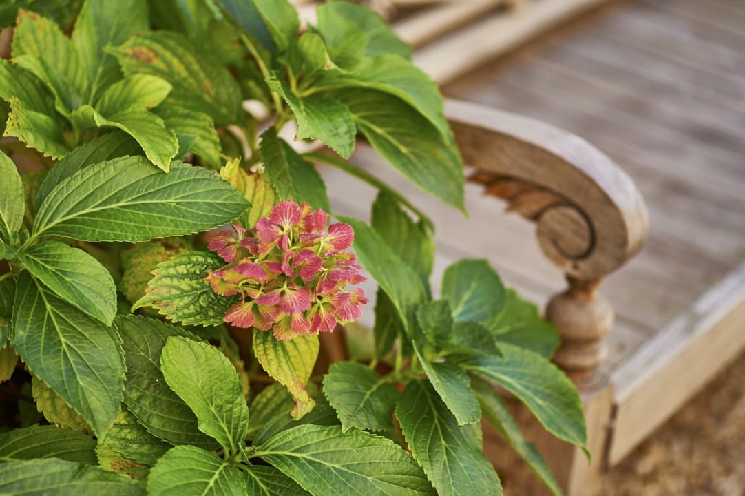 Gartenanlage Ventena Vecchia antico frantoio