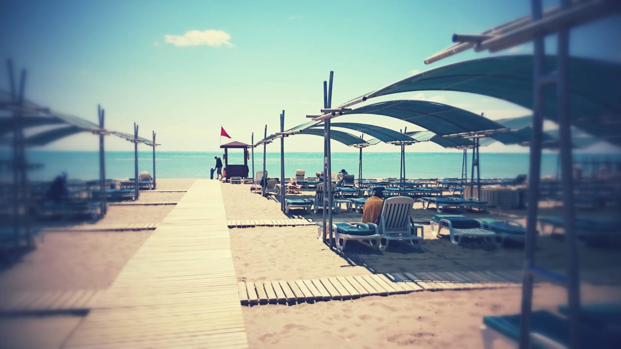 Strandblick Papillon Ayscha