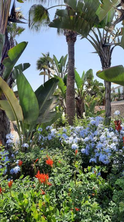 Gartenanlage Hotel Riu Tikida Dunas