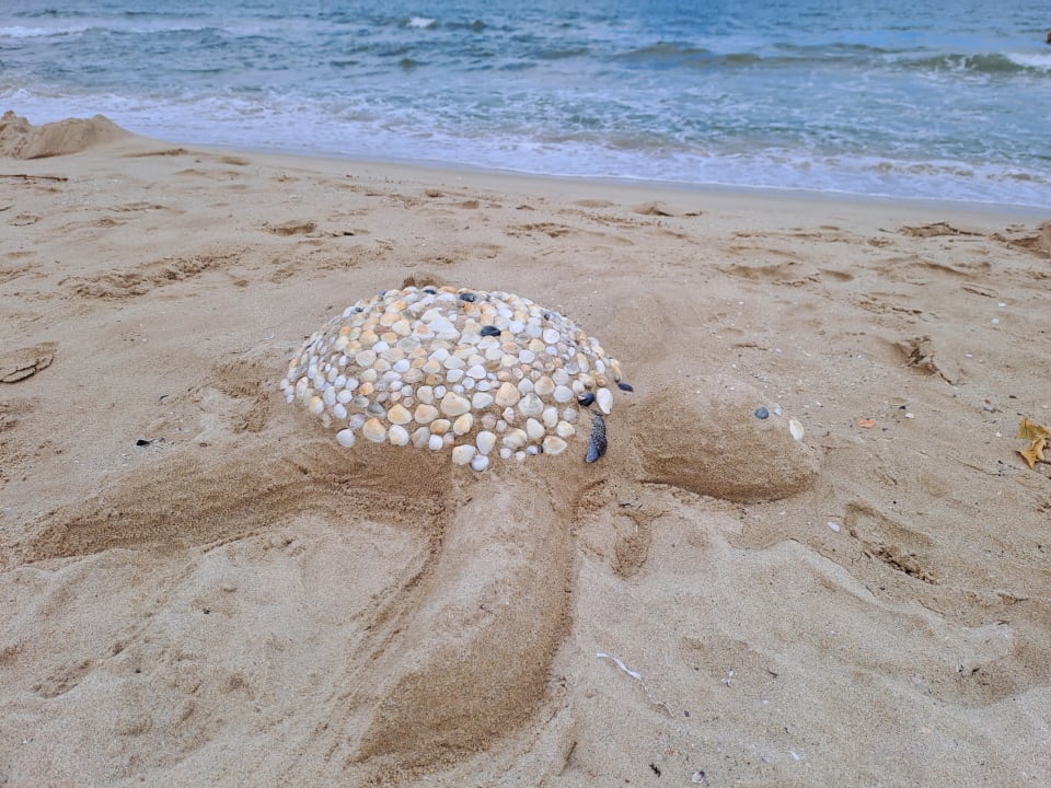 Strand Kaliakra Mare