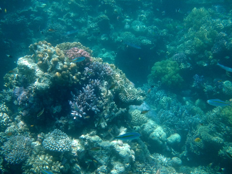 Sport & Freizeit Lahami Bay Beach Resort