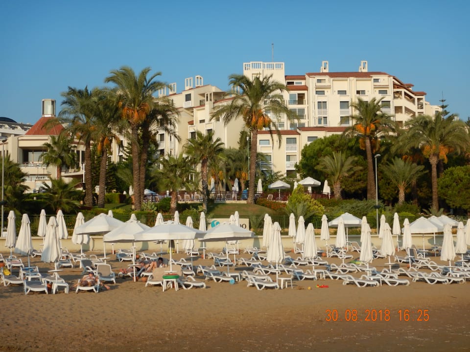 Strand PALOMA Perissia