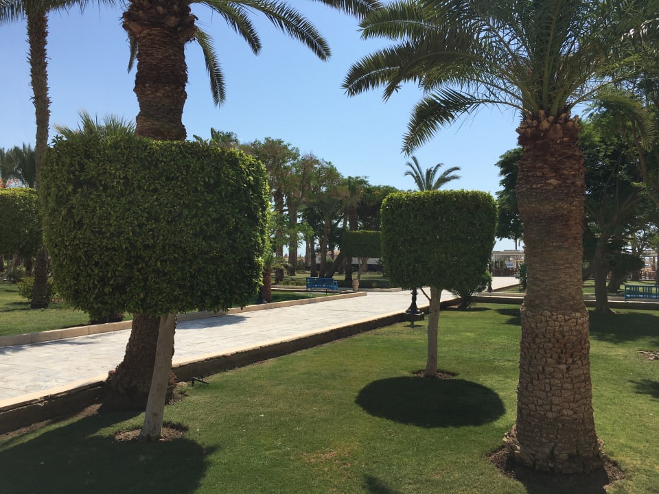 Ausblick The Grand Hotel Hurghada