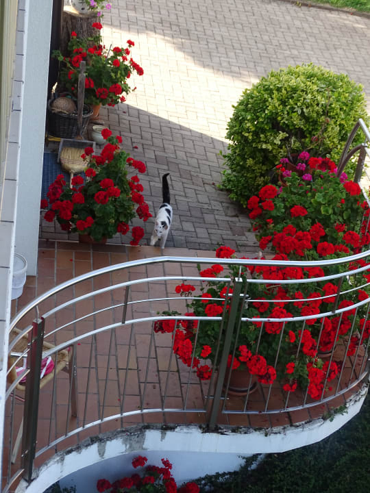 Ausblick Urlaubsbauernhof Wabnig