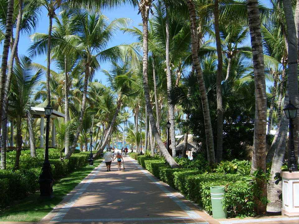 zum Strand Hotel Riu Bambu